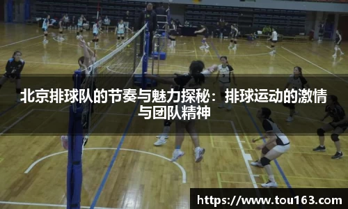 北京排球队的节奏与魅力探秘：排球运动的激情与团队精神